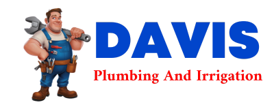 Trusted plumber in THAWVILLE